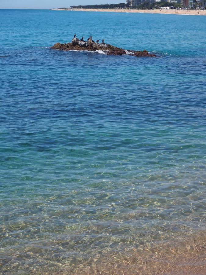Apartamento Mar I Cel Blanes Εξωτερικό φωτογραφία